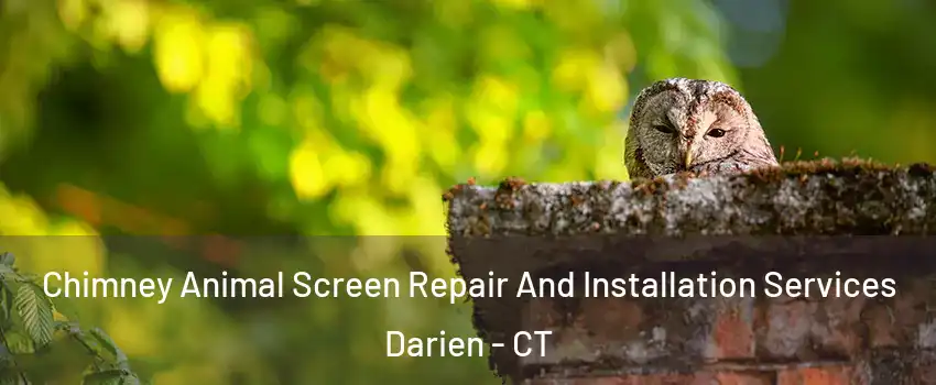  Chimney Animal Screen Repair And Installation Services Darien - CT
