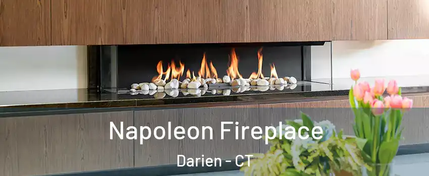  Napoleon Fireplace Darien - CT